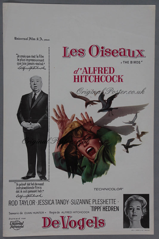 The Birds / De Vogels / Les Oiseaux
