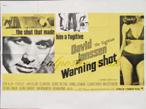 Warning Shot