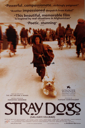 Stray Dogs