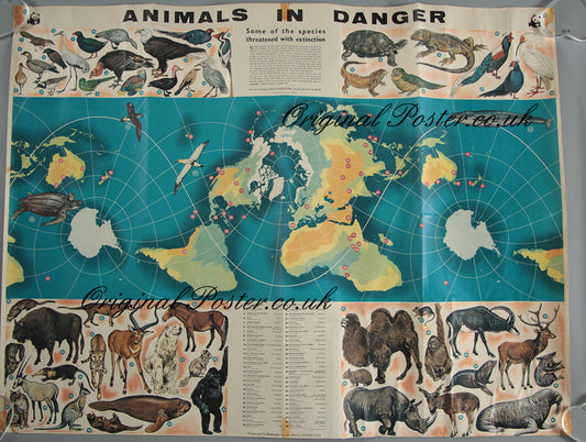 Animals in Danger
