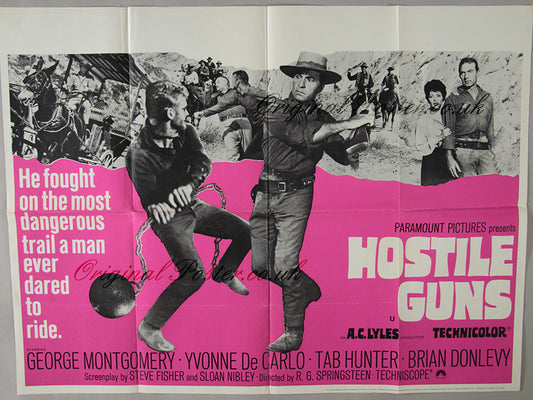 Hostile Guns