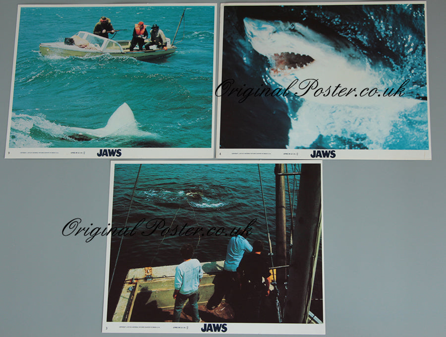 Jaws