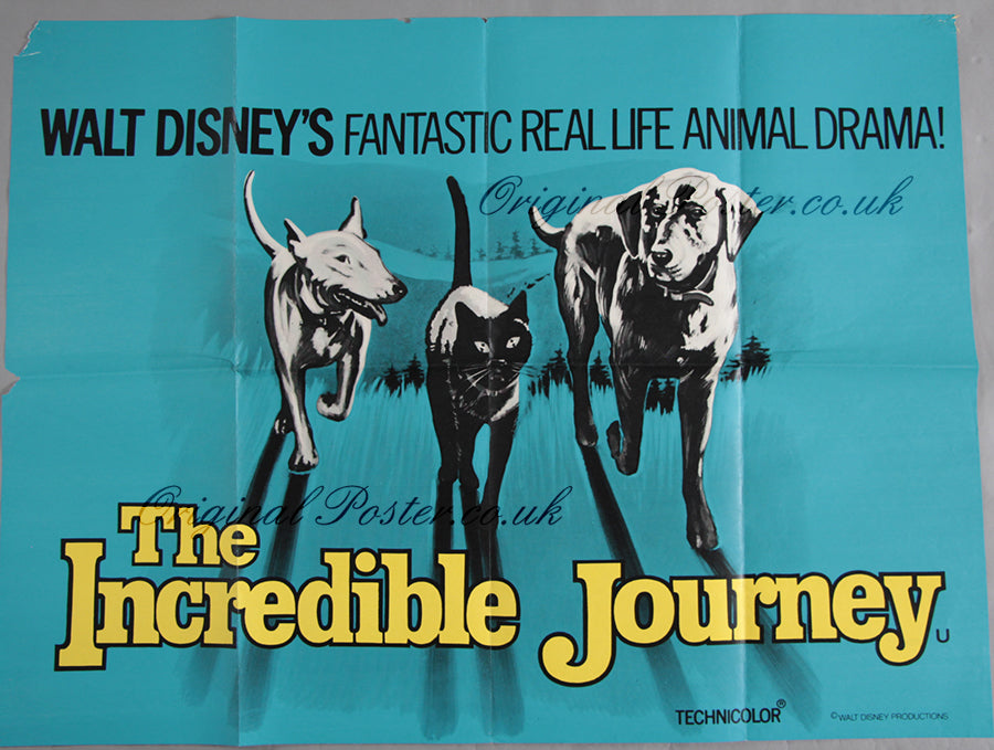 The Incredible Journey