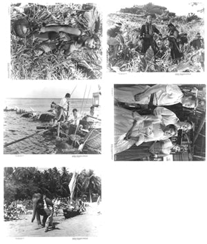 Swiss Family Robinson