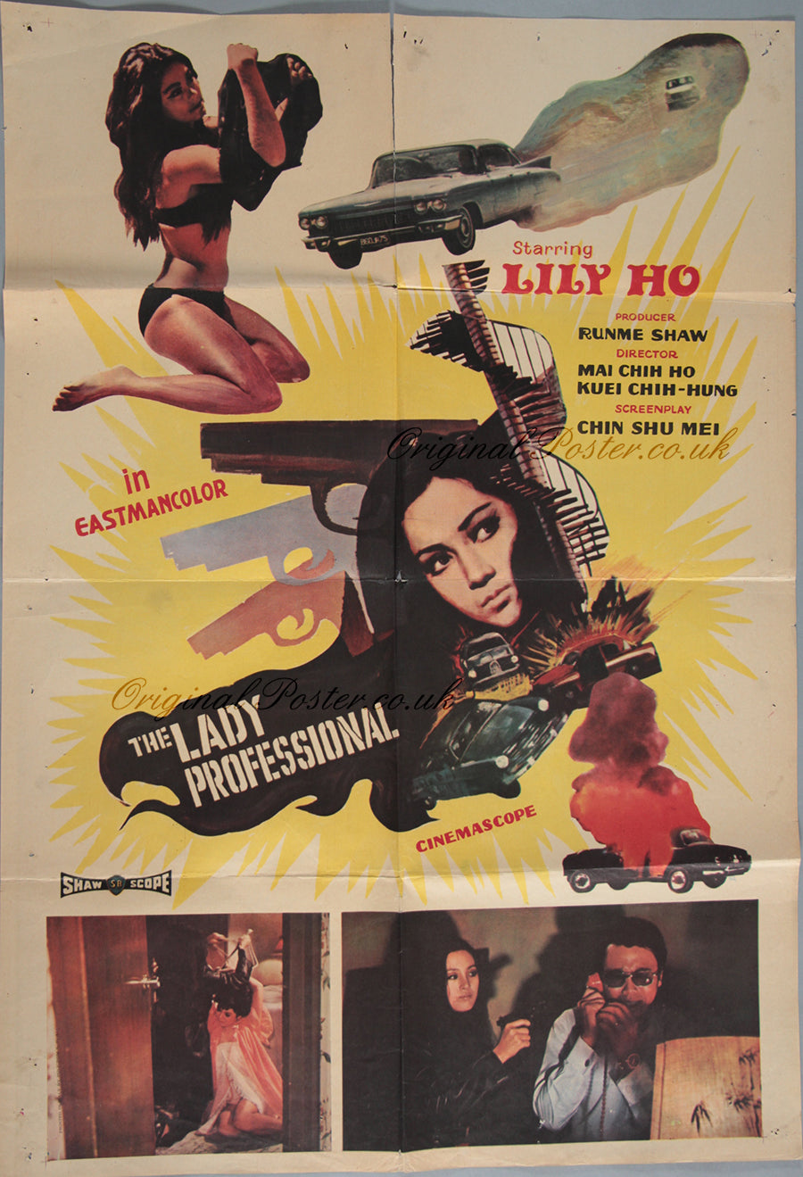 The Lady Professional