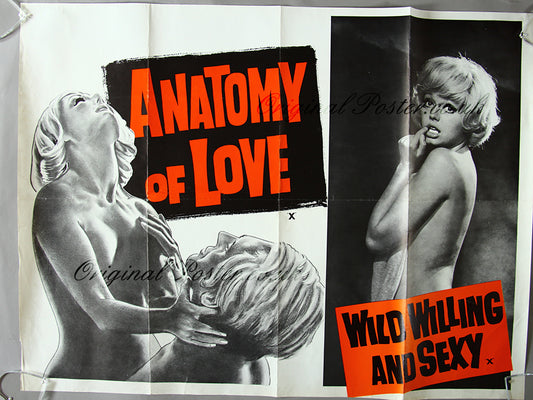 Anatomy of love / Wild willing and sexy