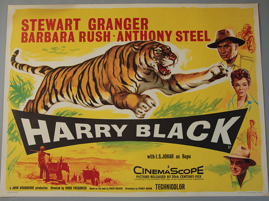 Harry Black