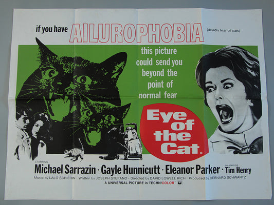 Eye of the Cat
