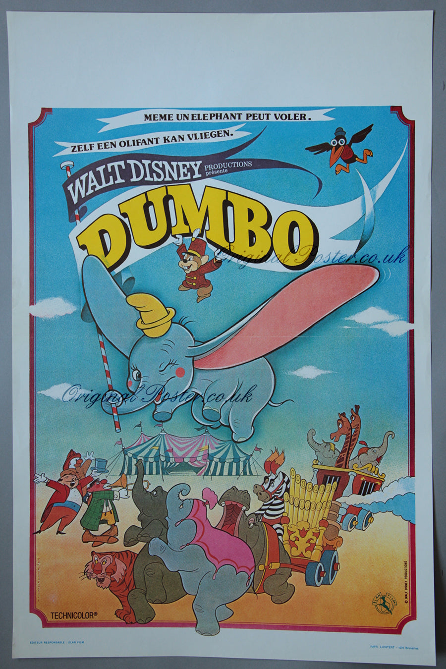 Dumbo