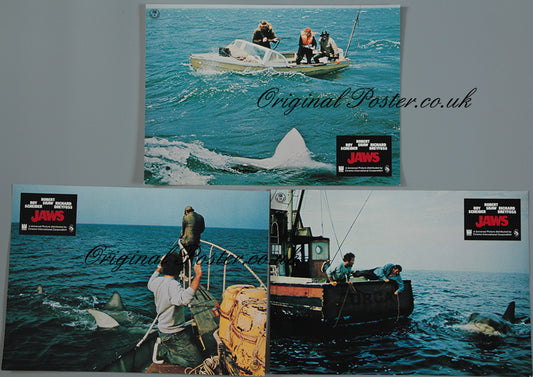 Jaws