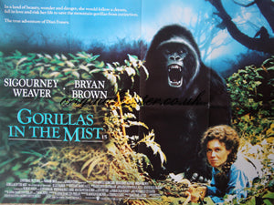 Gorillas in the Mist