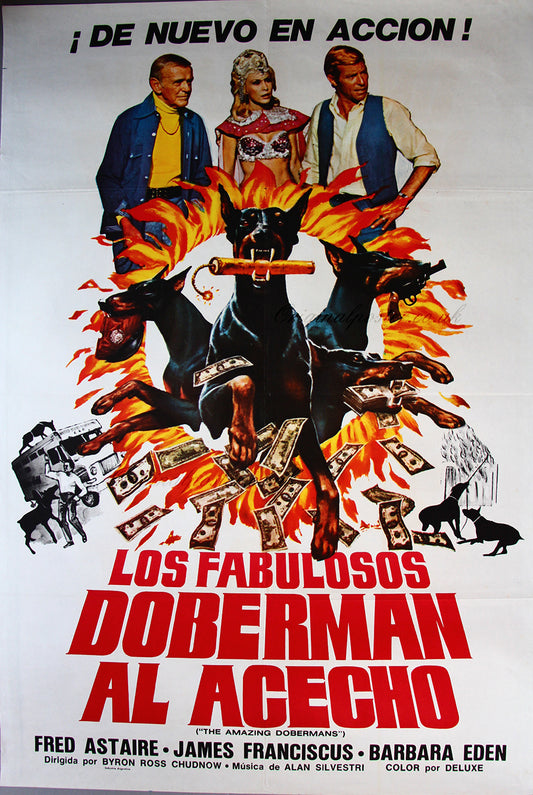 The Amazing Dobermans