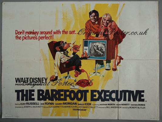 The Barefoot Executive