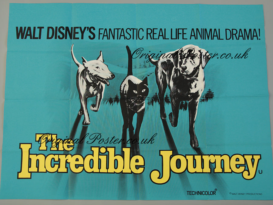 The Incredible Journey