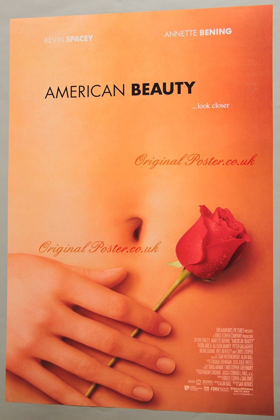 American Beauty