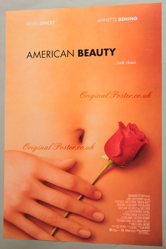American Beauty