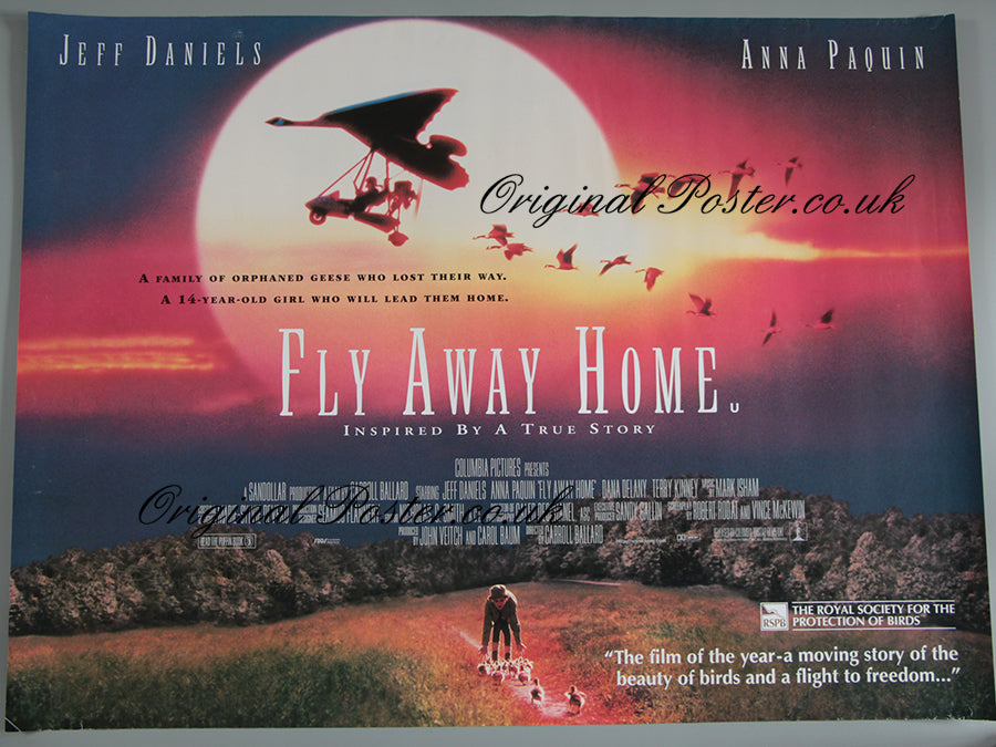 Fly Away Home