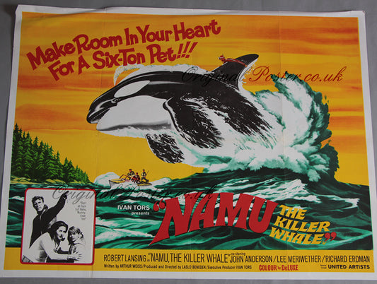 Namu the Killer Whale