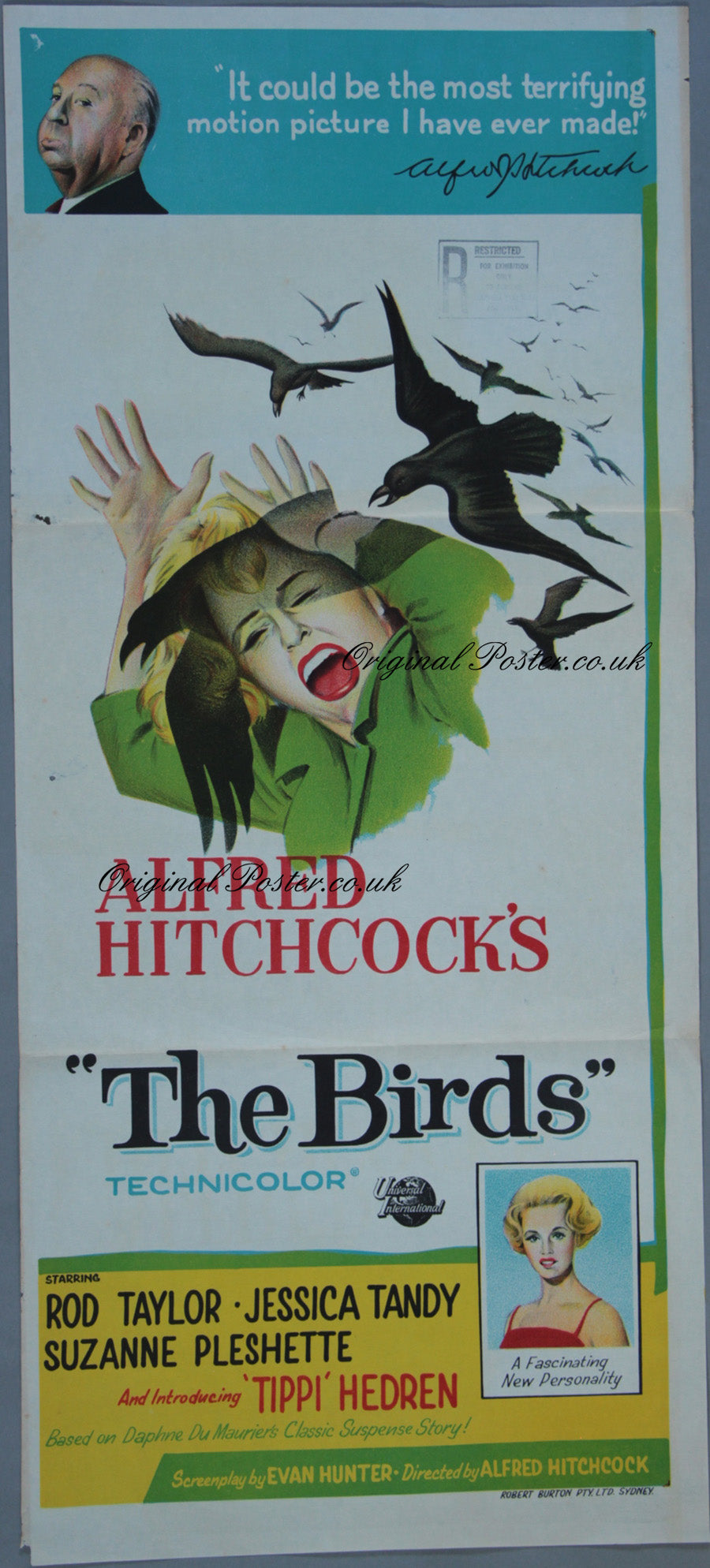 The Birds