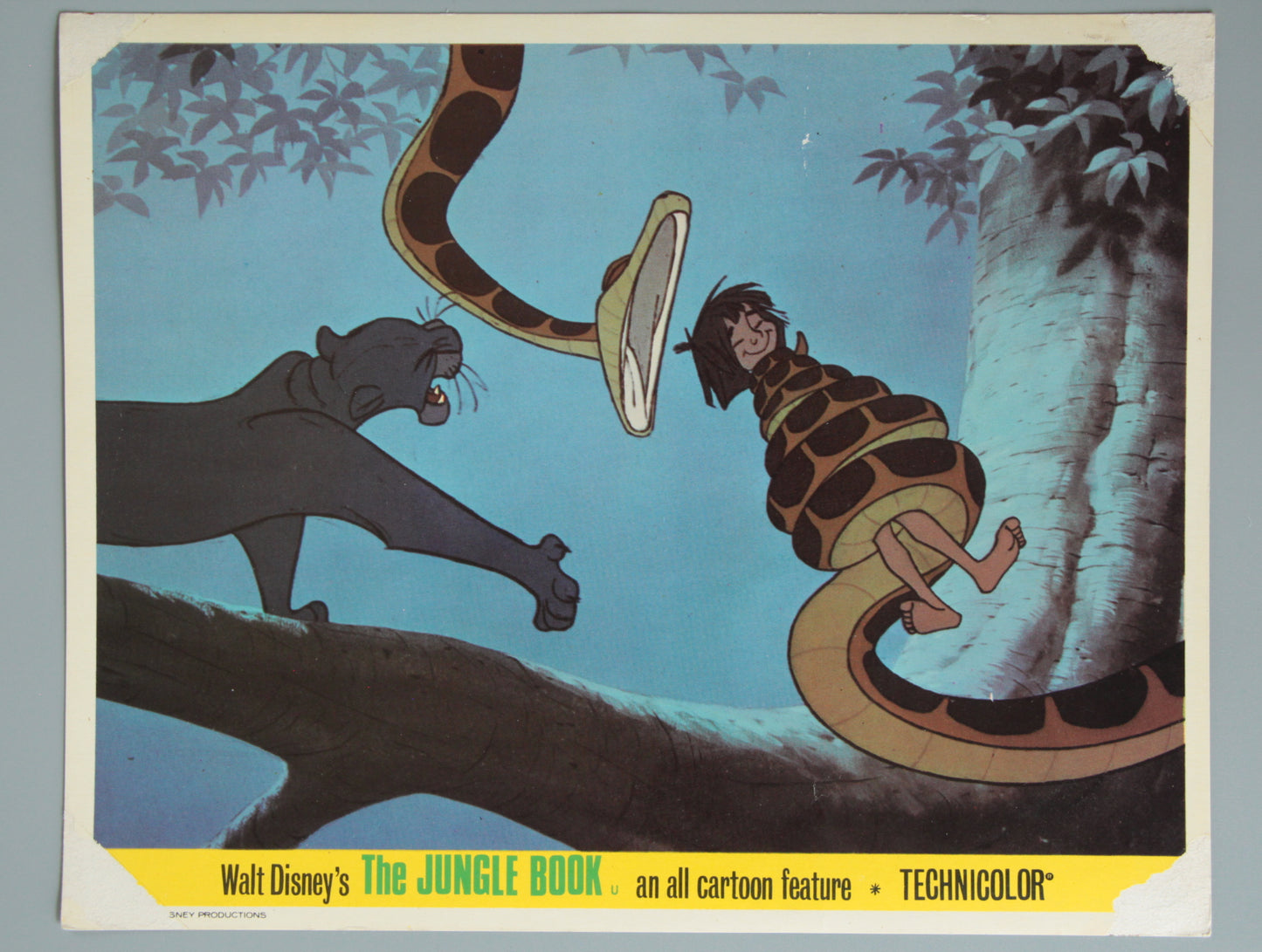 The Jungle Book