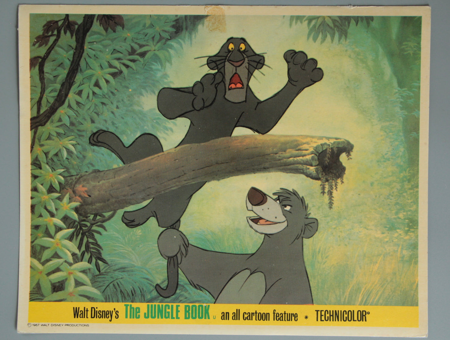 The Jungle Book