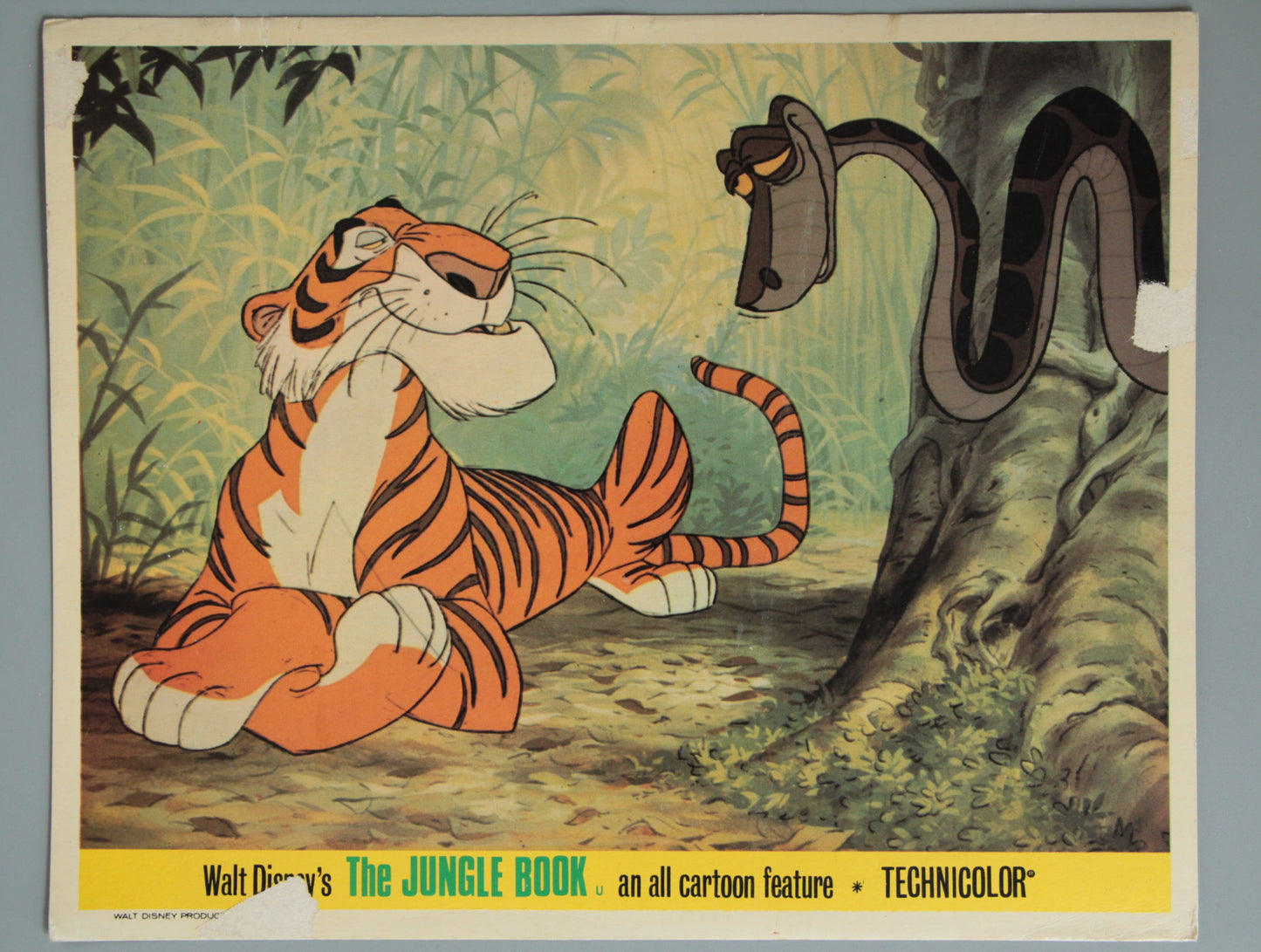 The Jungle Book