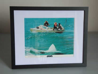 Jaws