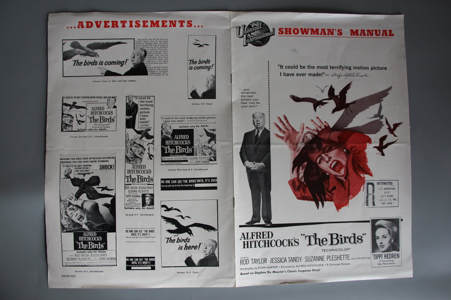 The Birds