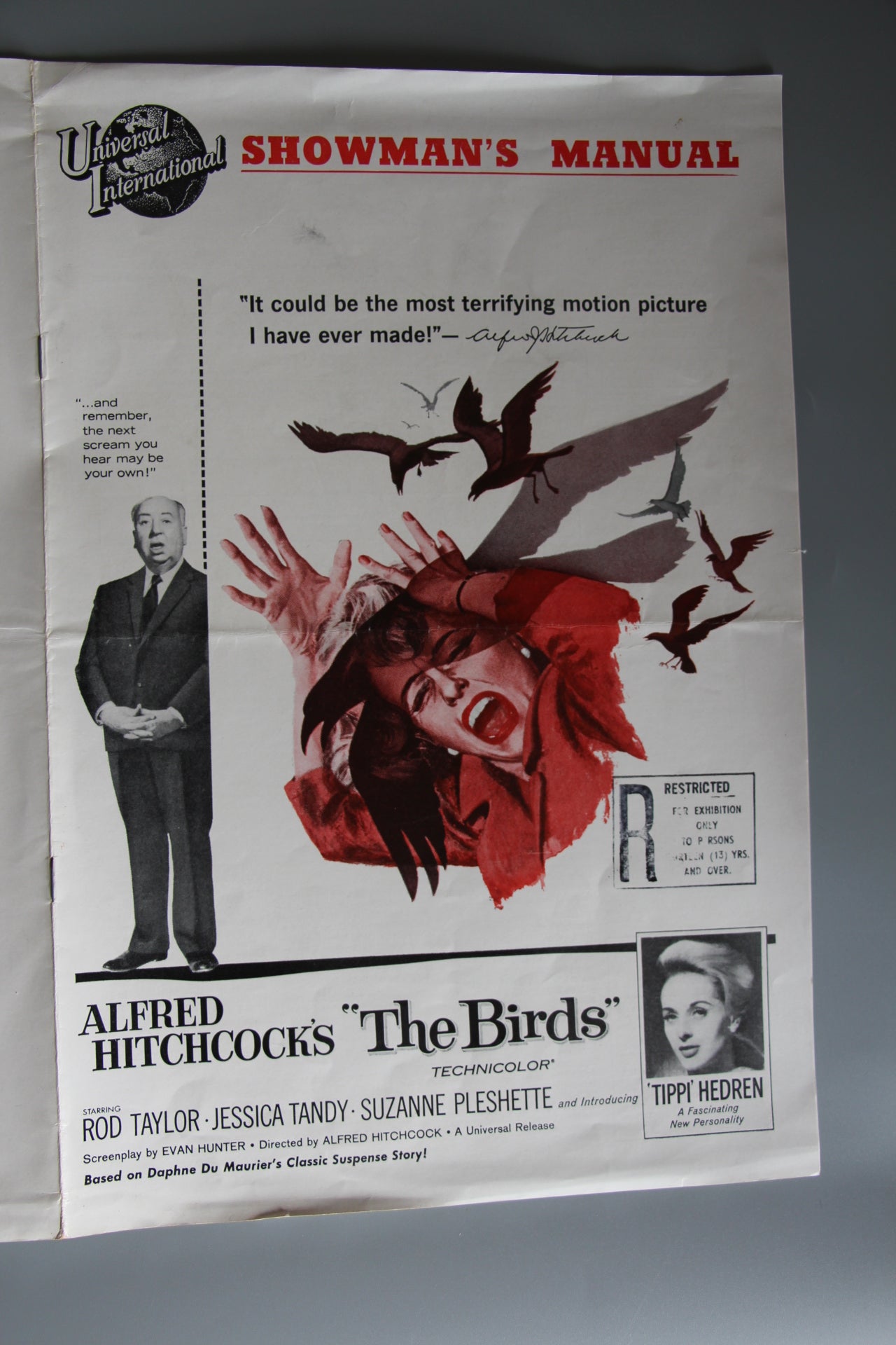 The Birds