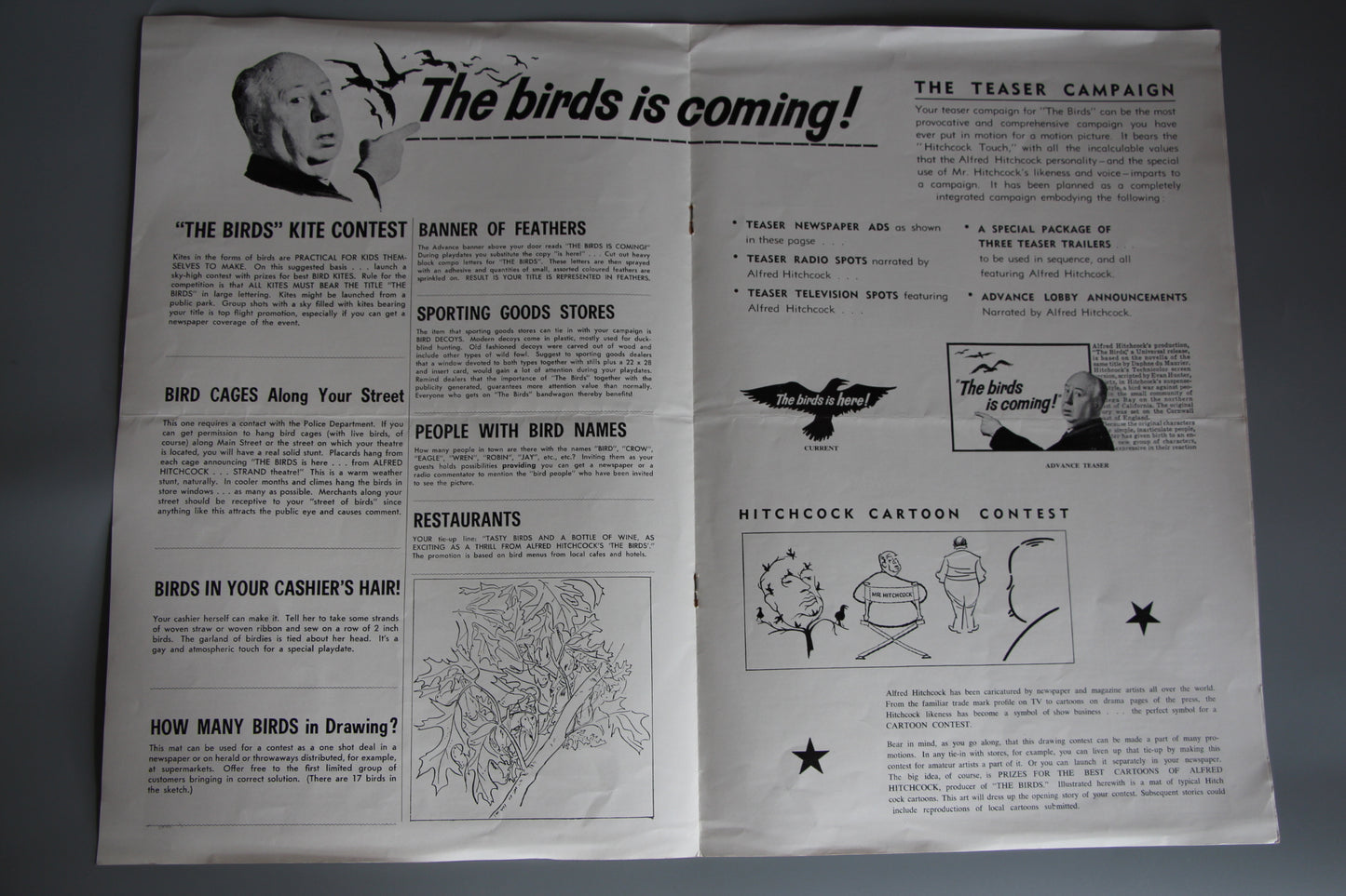 The Birds