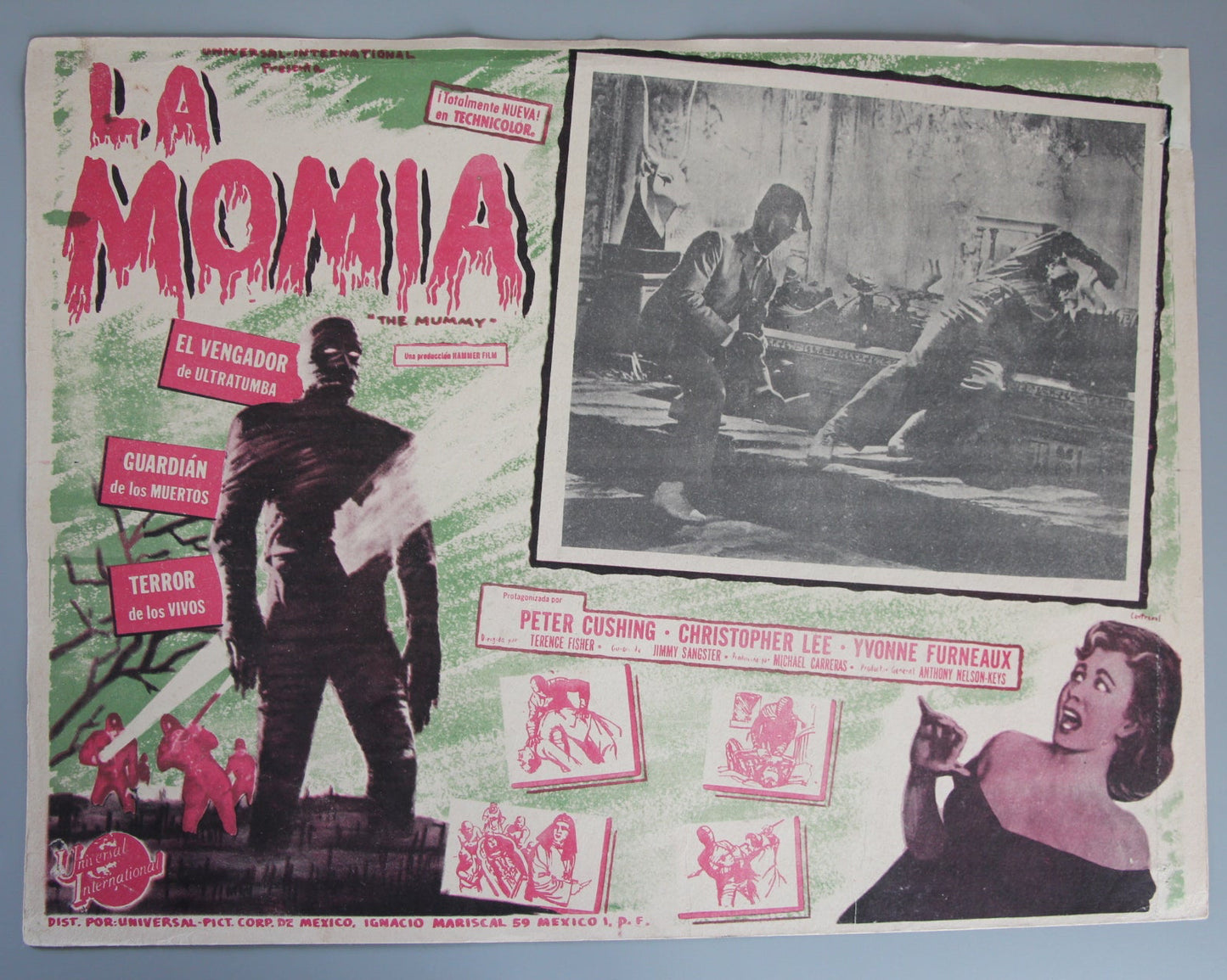 The Mummy
