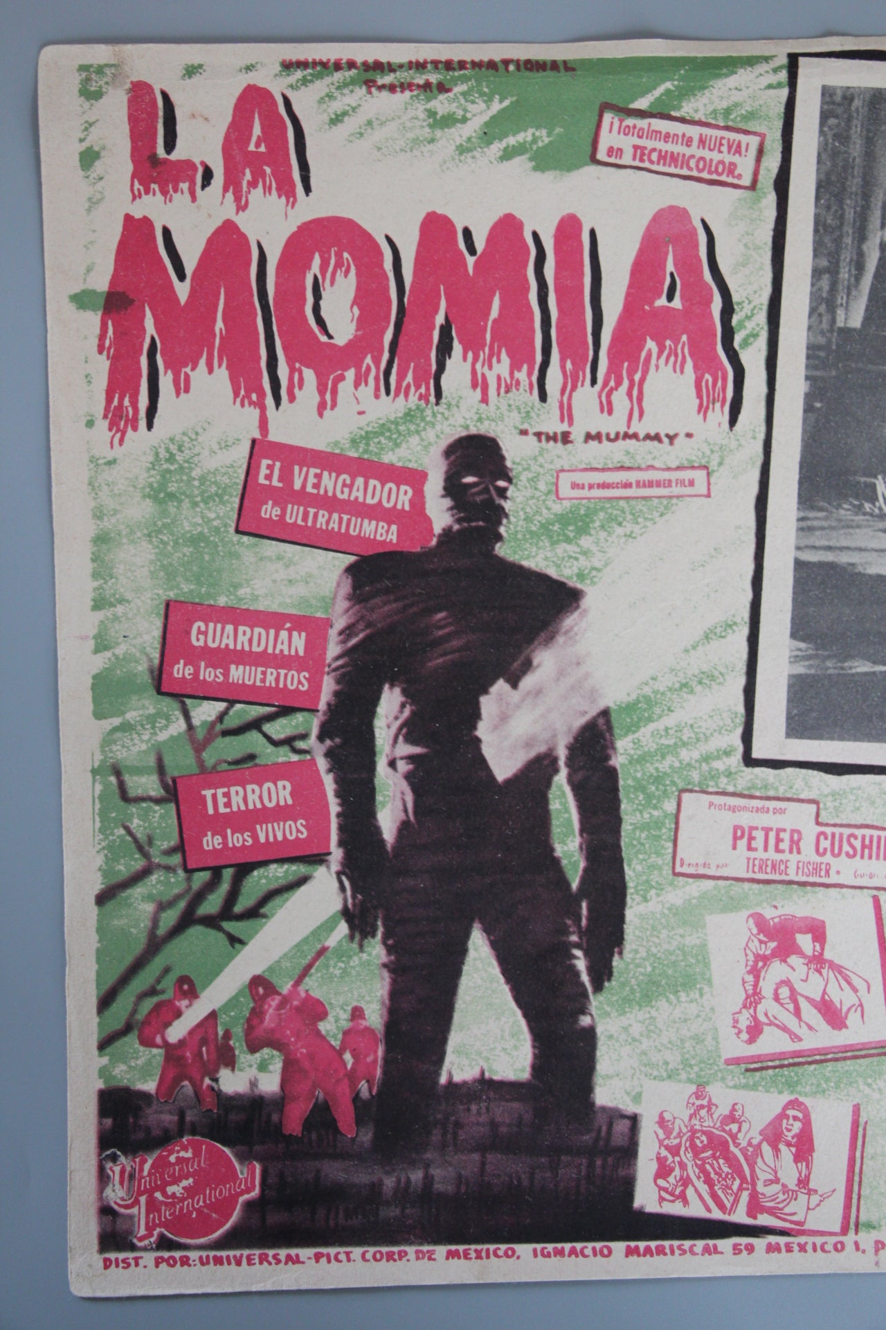 The Mummy