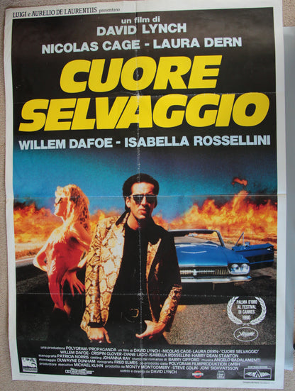 Wild At Heart