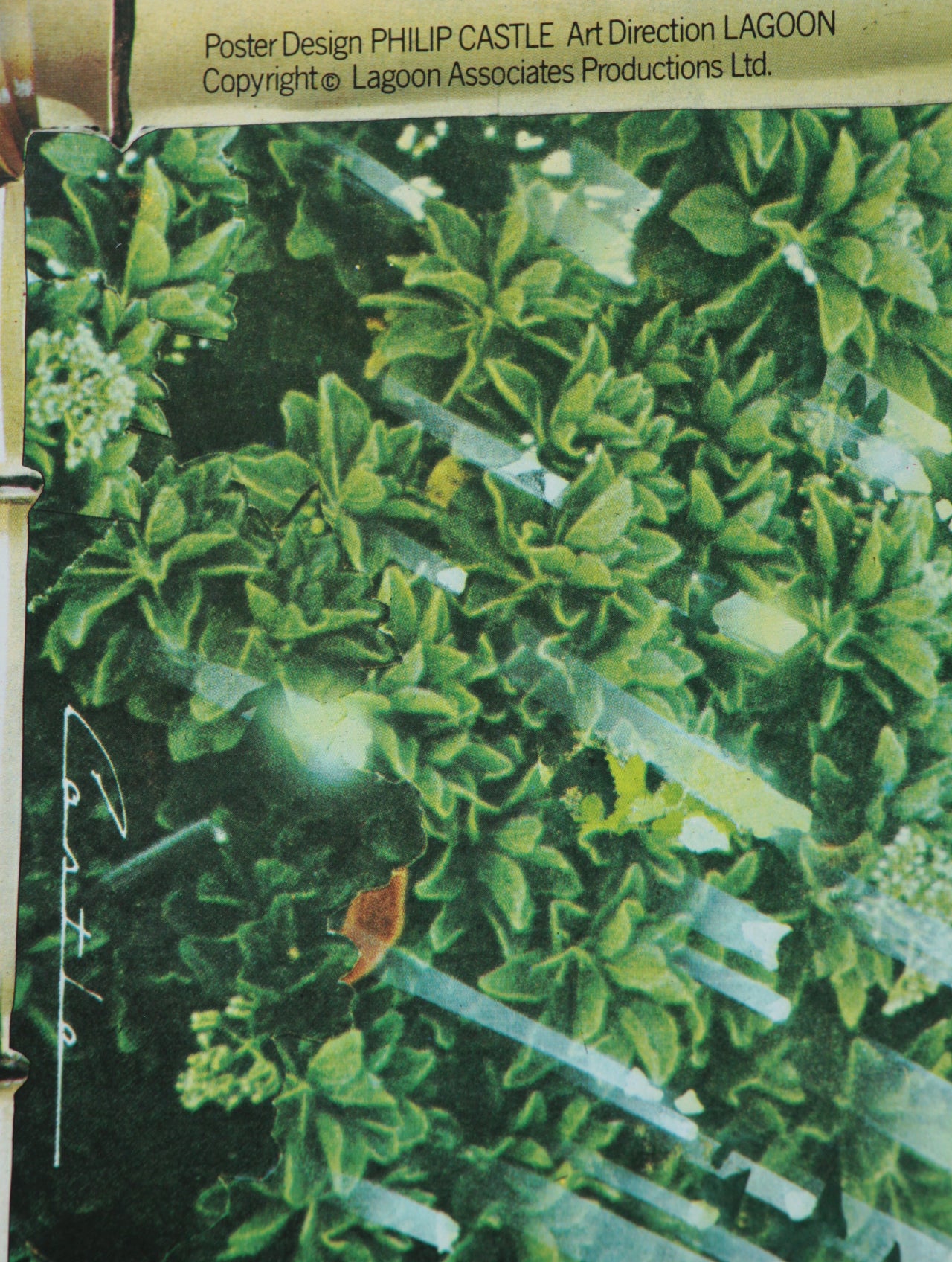 The Valley (Obscured by Clouds) Pink Floyd