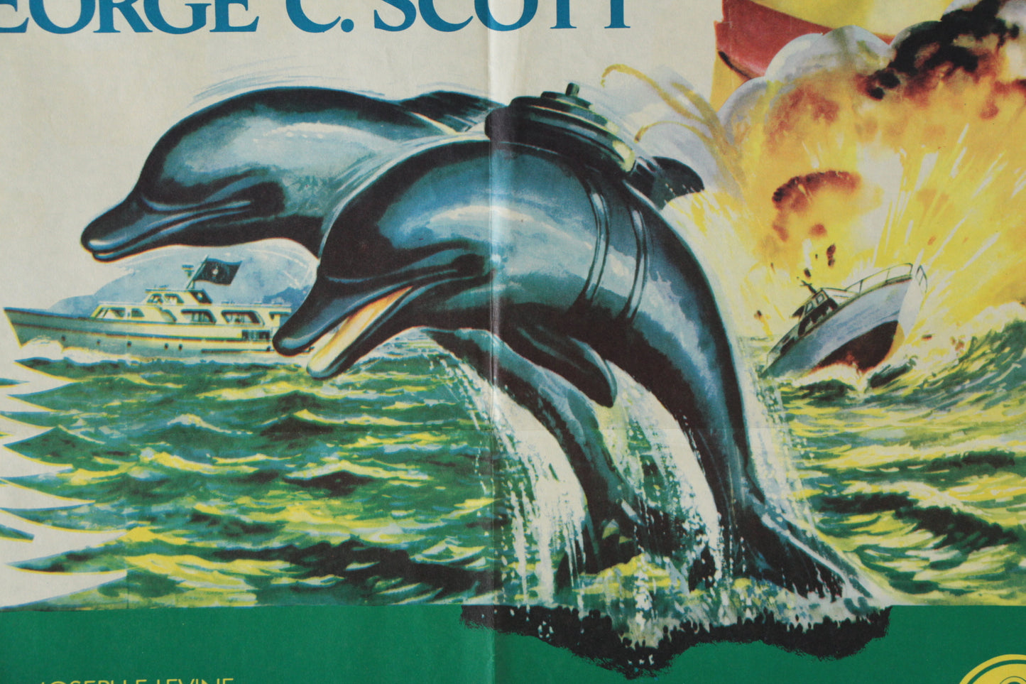 The Day of the Dolphin