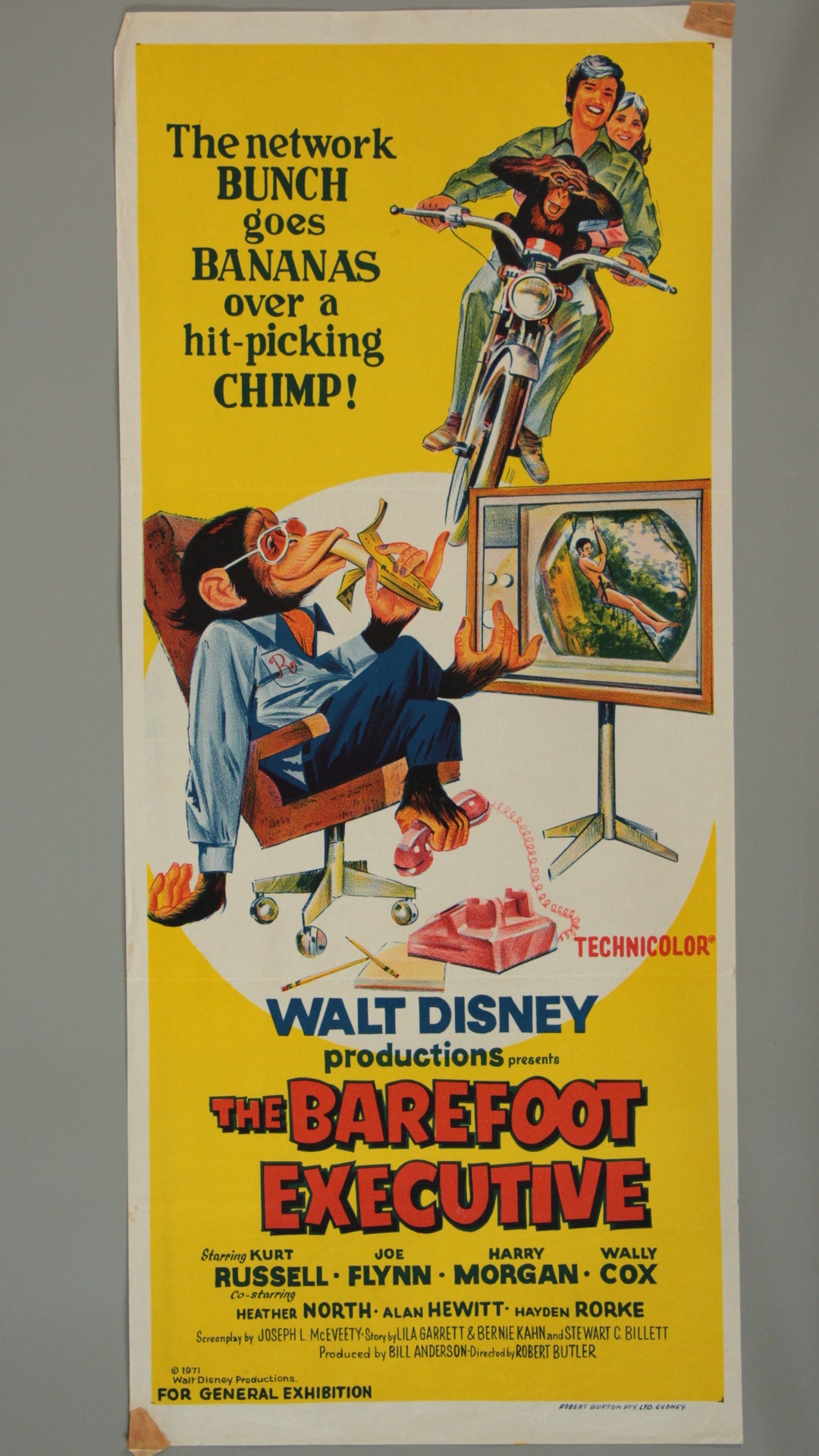 The Barefoot Executive