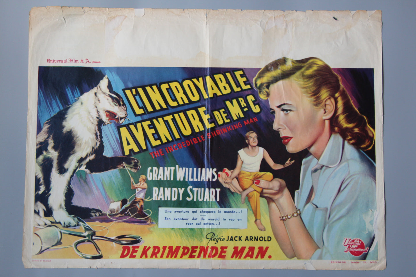 The Incredible Shrinking Man