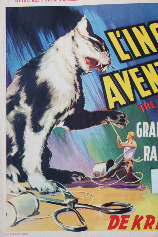 The Incredible Shrinking Man