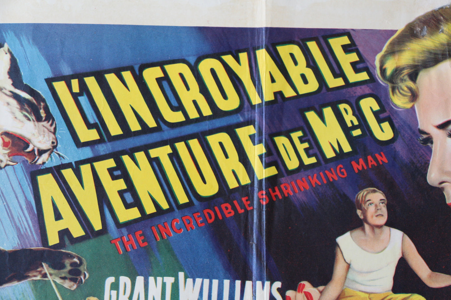 The Incredible Shrinking Man