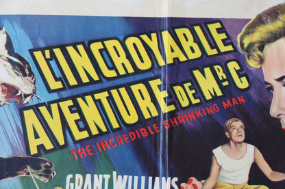 The Incredible Shrinking Man