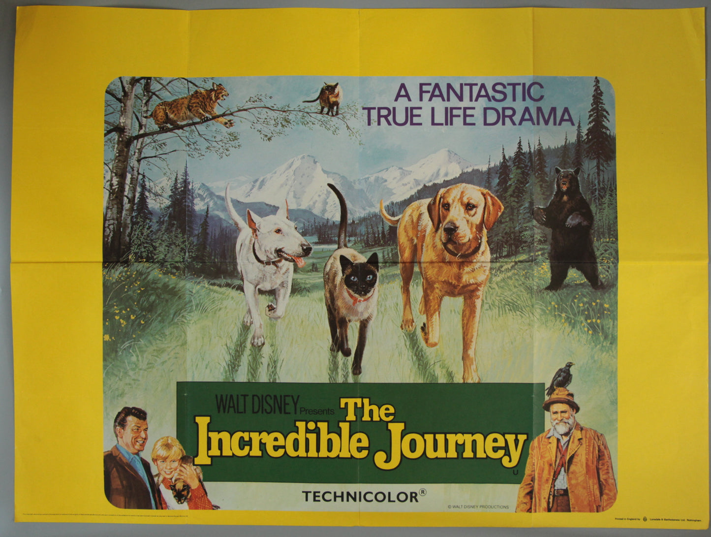 The Incredible Journey