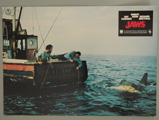 Jaws