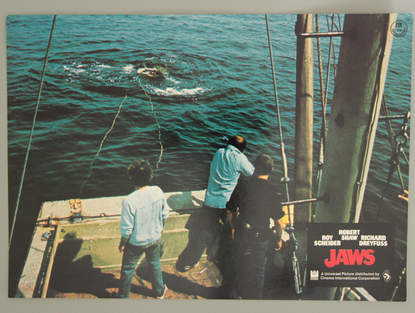 Jaws