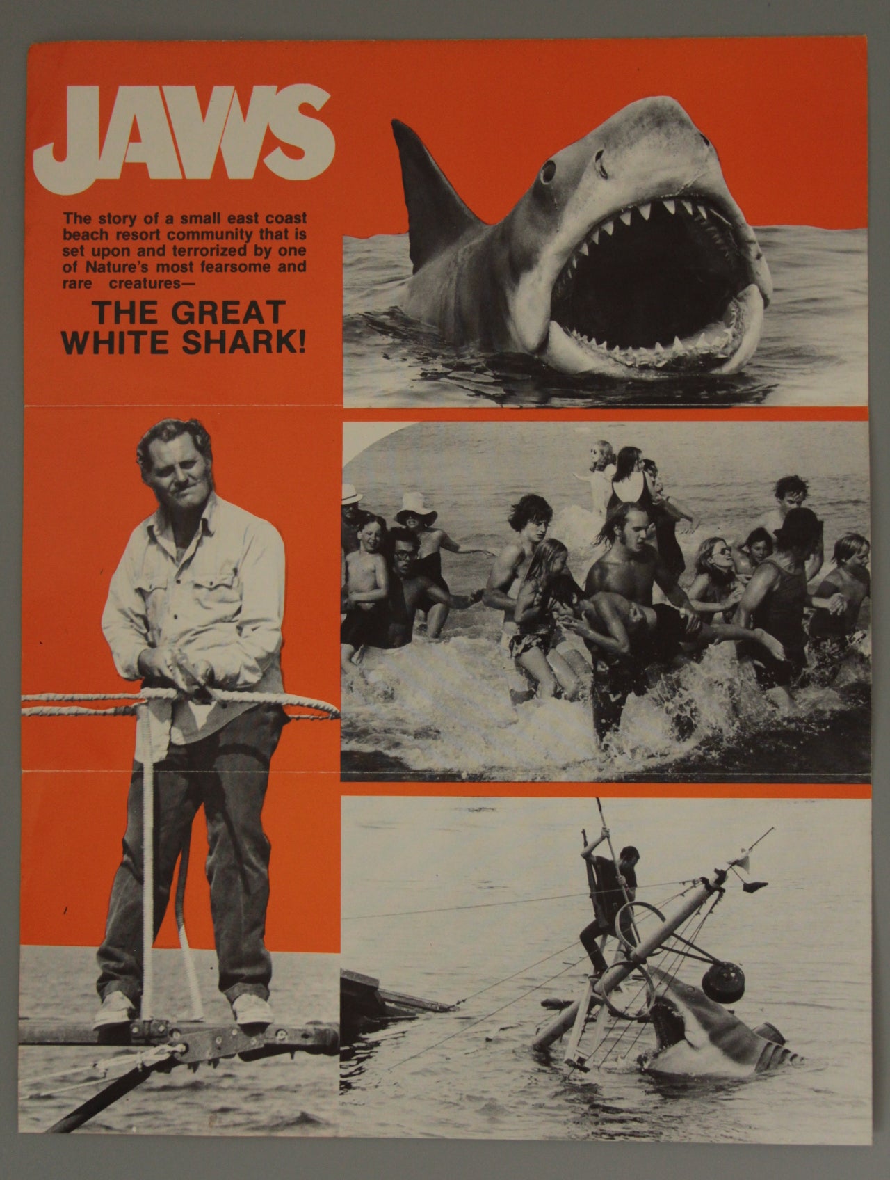 Jaws