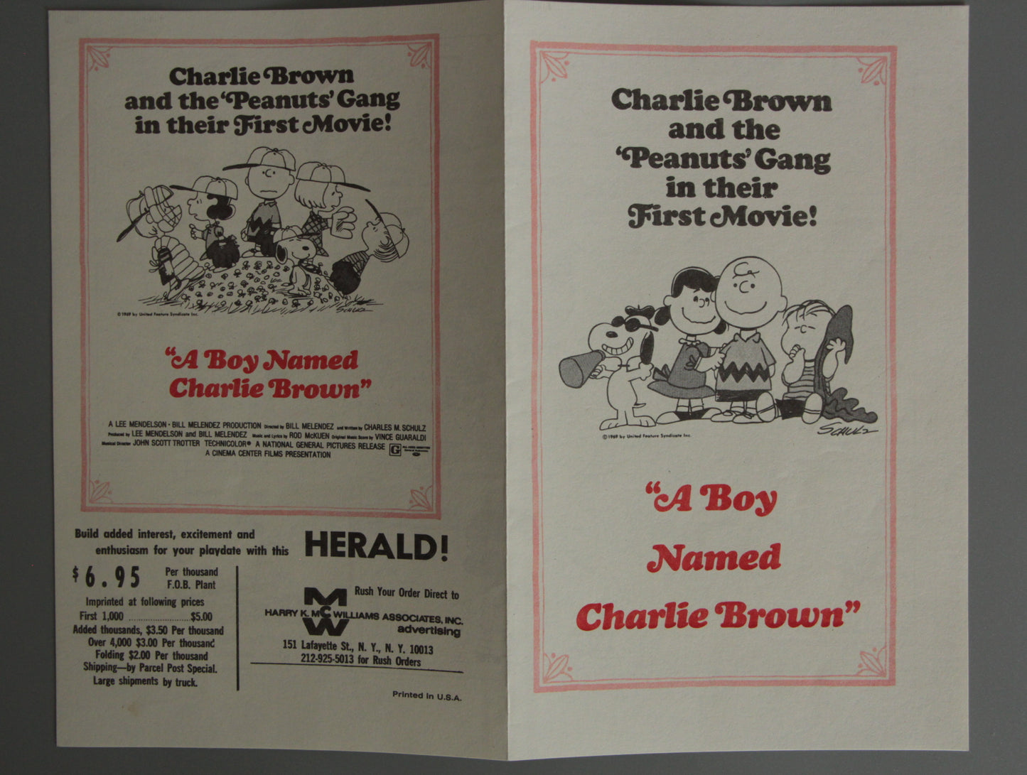 A Boy Named Charlie Brown