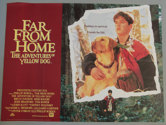 Far from Home The Adventures of Yellow Dog