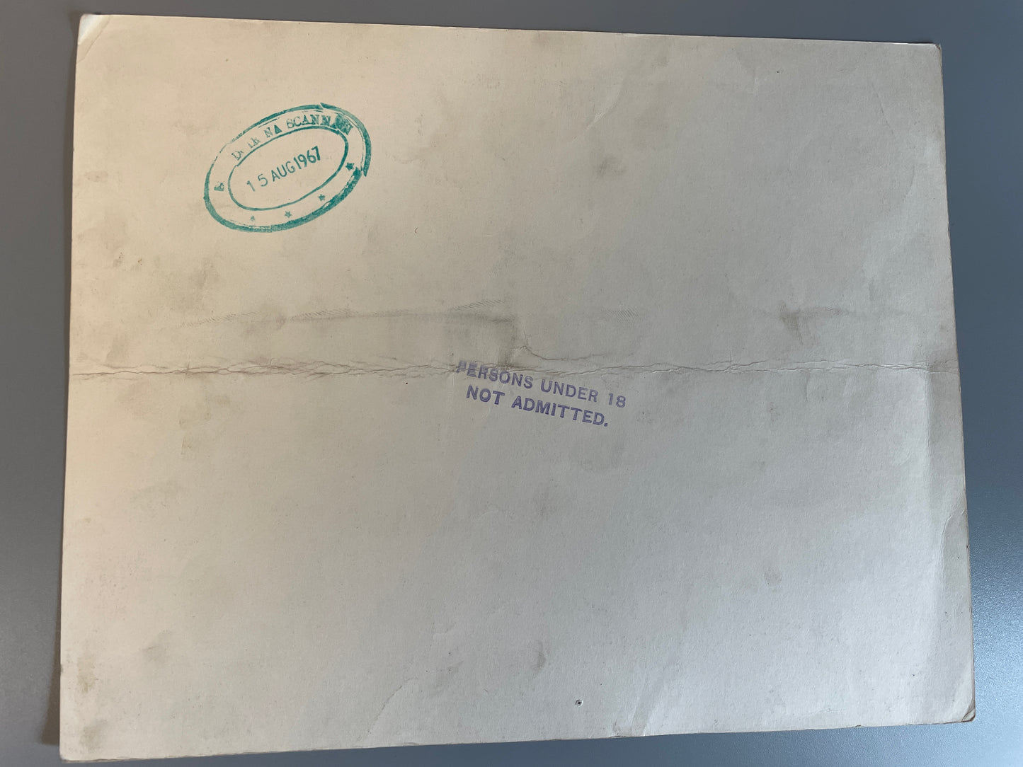 Frankenstein Created Woman