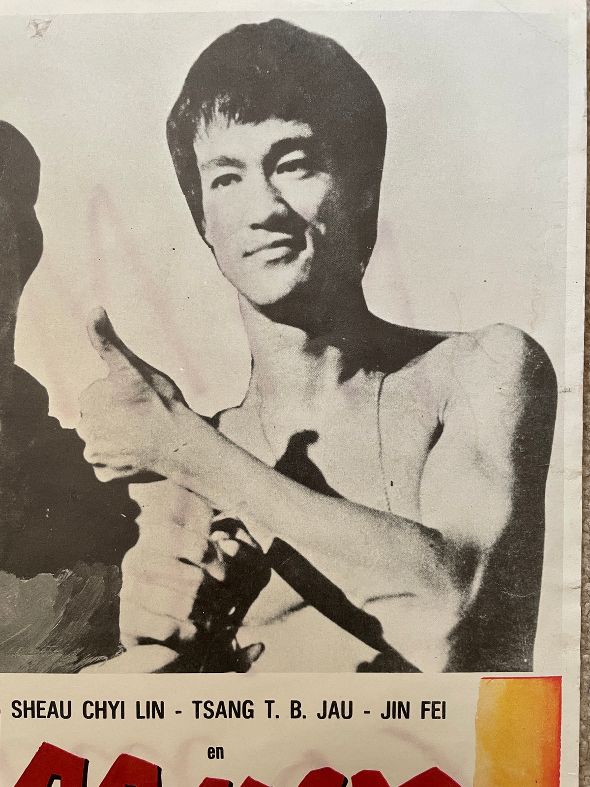 Bruce Lee and I