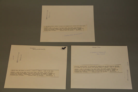 Zombies Dawn of the Dead