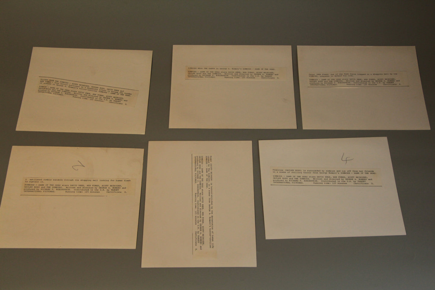 Zombies Dawn of the Dead